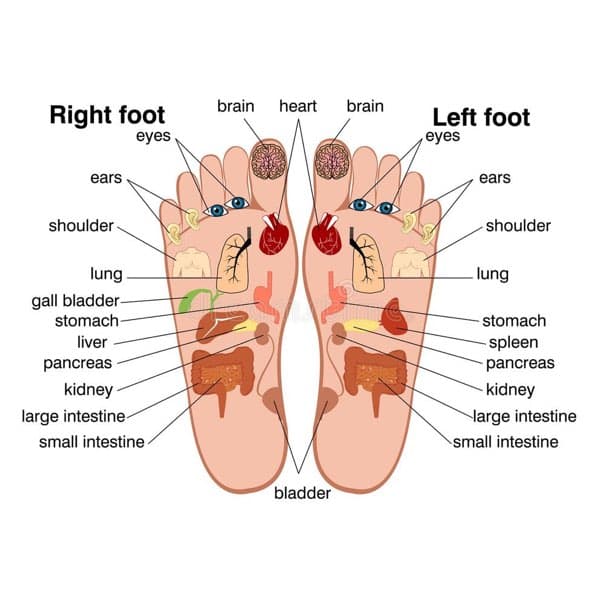Reflexology Foot Scrub Massage 30min